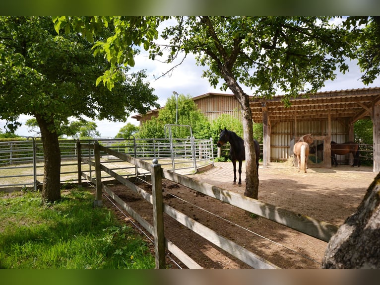 Denkmalprämiertes Jurahaus mit Pferdehof und erstklassiger Reithalle
