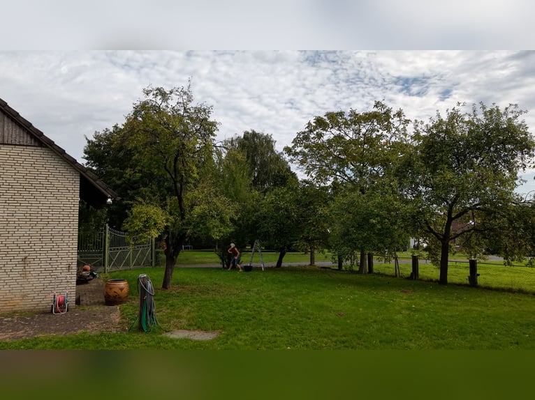 Dom mieszkalny ze stajnią dla koni i pastwiskami w Hamminkeln-Brünen