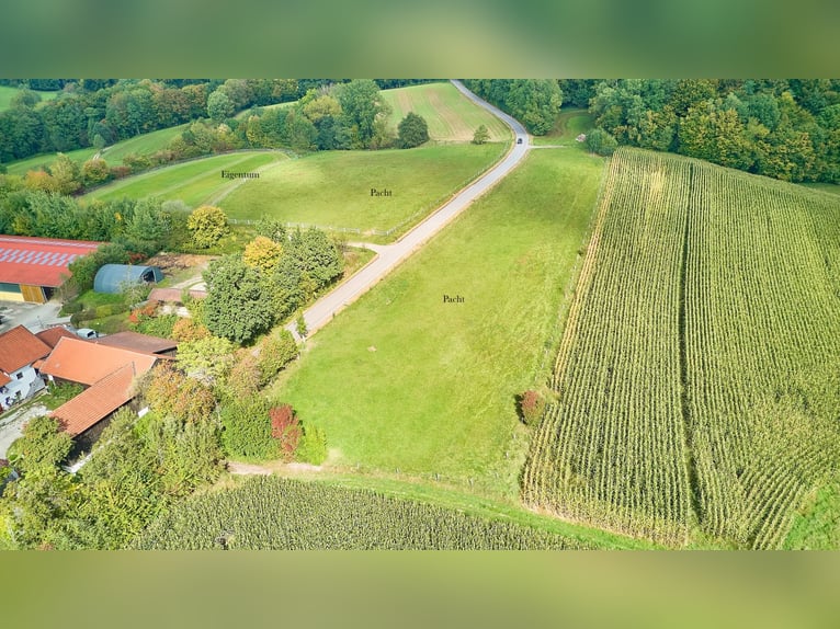 Dom wiejski w Bawarii z wysokiej klasy, prywatnym ośrodkiem jeździeckim, w tym halą treningową i bas