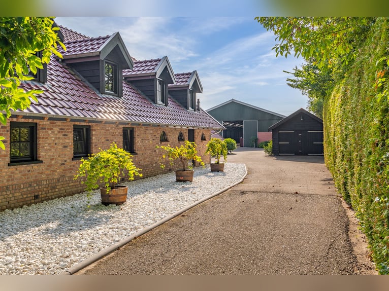 Dom wiejski z obiektem dla koni, w tym krytą ujeżdżalnię, odkrytą ujeżdżalnię oraz 11 luksusowych bo