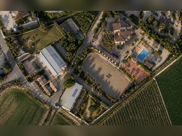 Dom z zapleczem jeździeckim