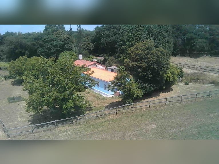 Działka z domem i prywatną stajnią jeździecką