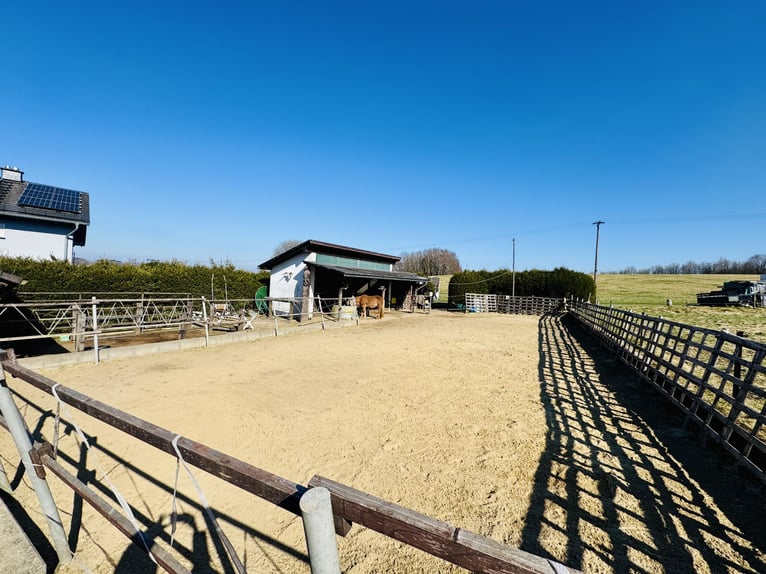 Einfamilienhaus mit Pferde- bzw. Tierhaltung und weiteren Nutzungsmöglichkeiten