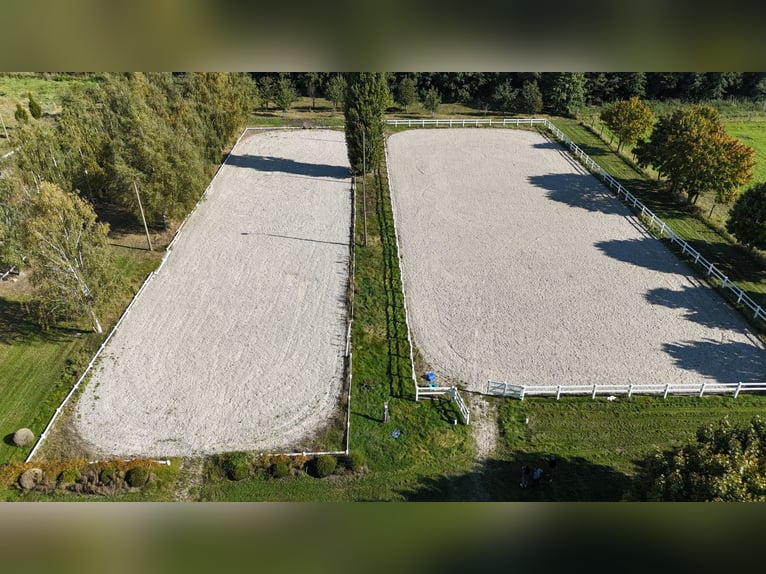 Einmalige Reitanlage bei Potsdam mit 16 Hektar arrondiertem Land