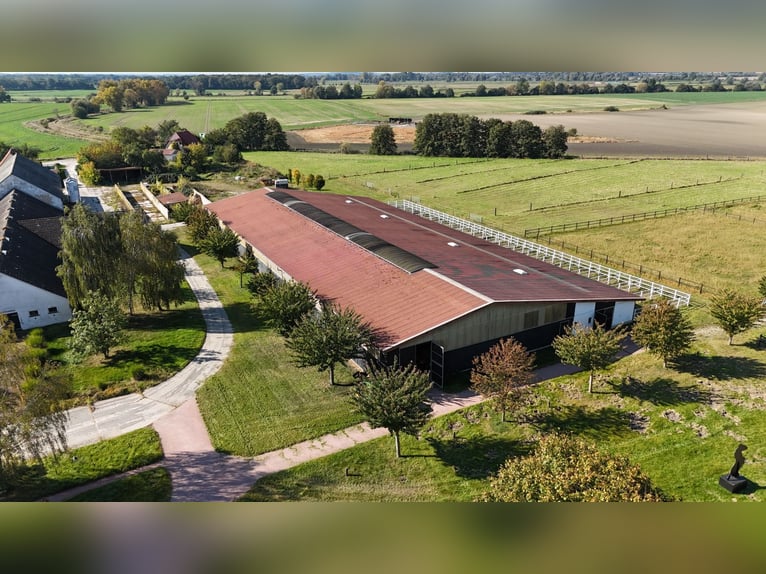 Einmalige Reitanlage bei Potsdam mit 16 Hektar arrondiertem Land