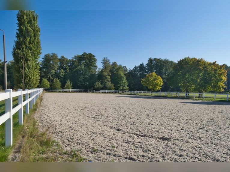 Einmalige Reitanlage bei Potsdam mit 16 Hektar arrondiertem Land