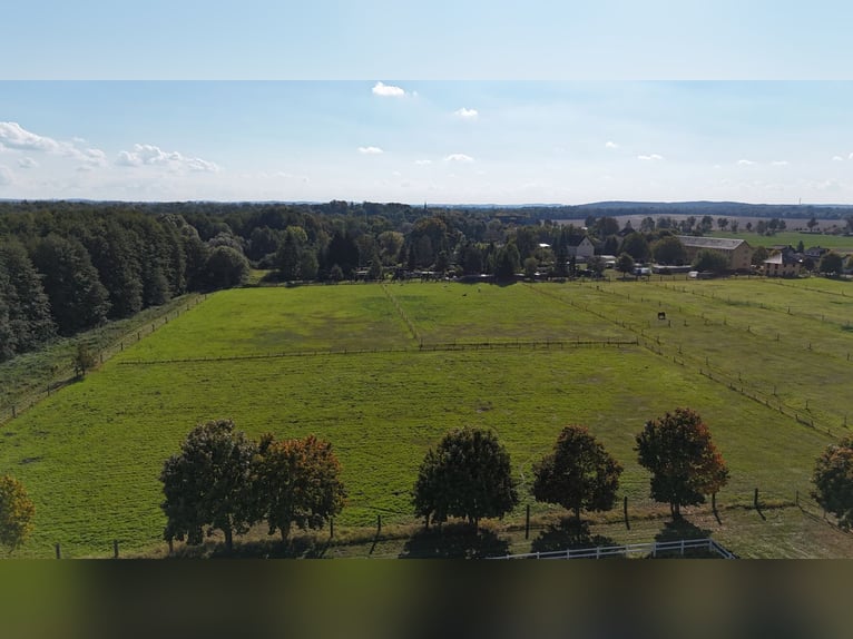 Einmalige Reitanlage bei Potsdam mit 16 Hektar arrondiertem Land