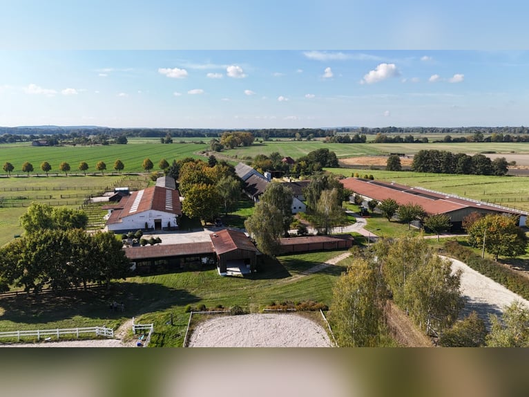 Einmalige Reitanlage bei Potsdam mit 16 Hektar arrondiertem Land