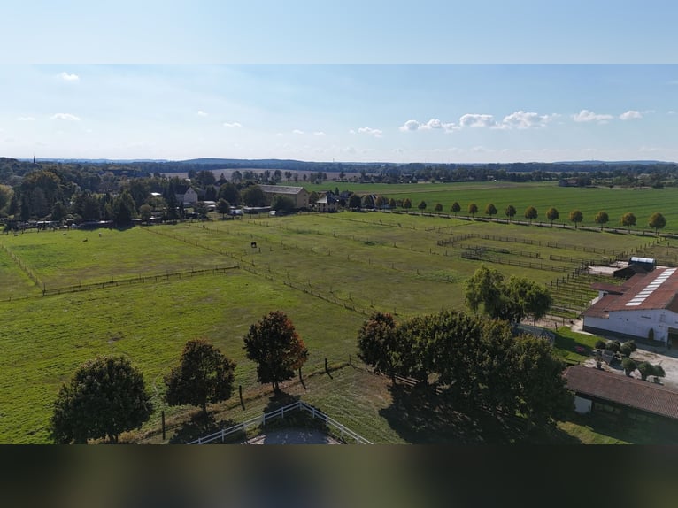 Einmalige Reitanlage bei Potsdam mit 16 Hektar arrondiertem Land