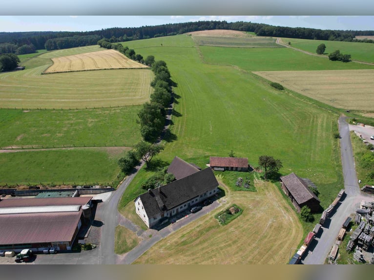 Einzigartiges Grundstück zur Errichtung einer neuen Reitanlage oder für andere Zwecke in bester Lage