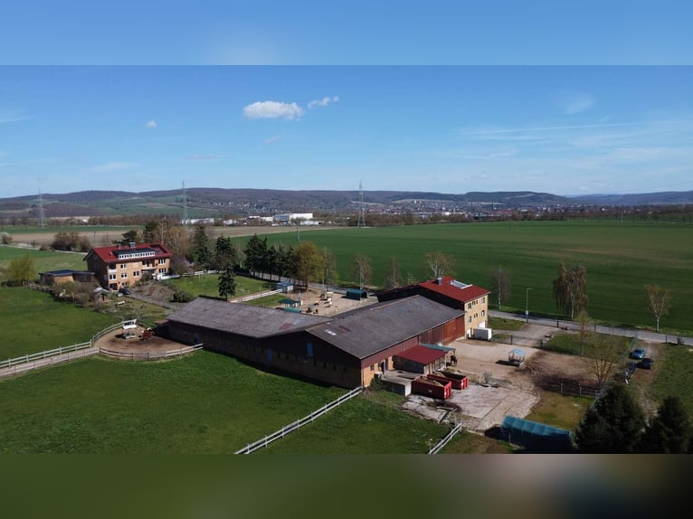Ekskluzywna stadnina z ośrodkiem jeździeckim i domem wielorodzinnym – połączenie zysków i wysokiej j