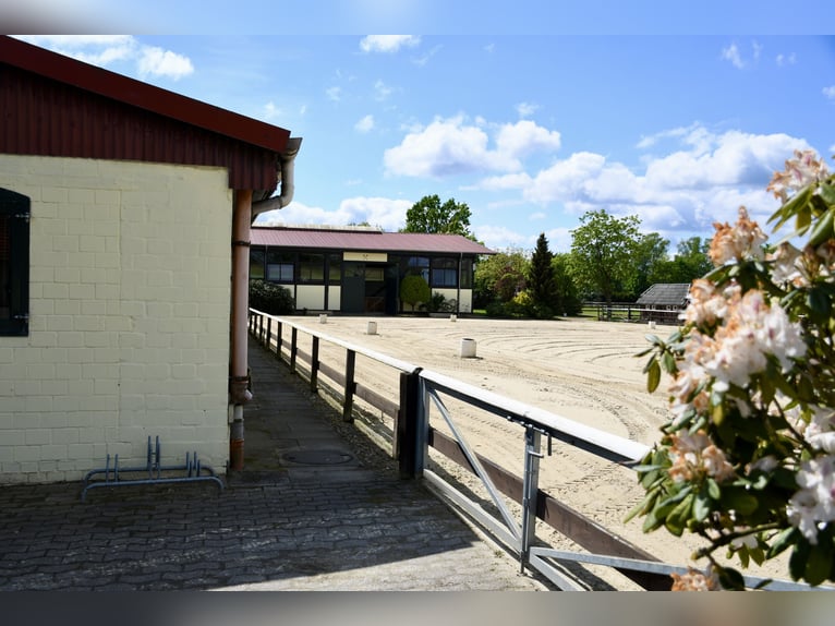 Ekskluzywny kompleks jeździecki do wynajęcia: doskonała lokalizacja i malownicza okolica na łonie na
