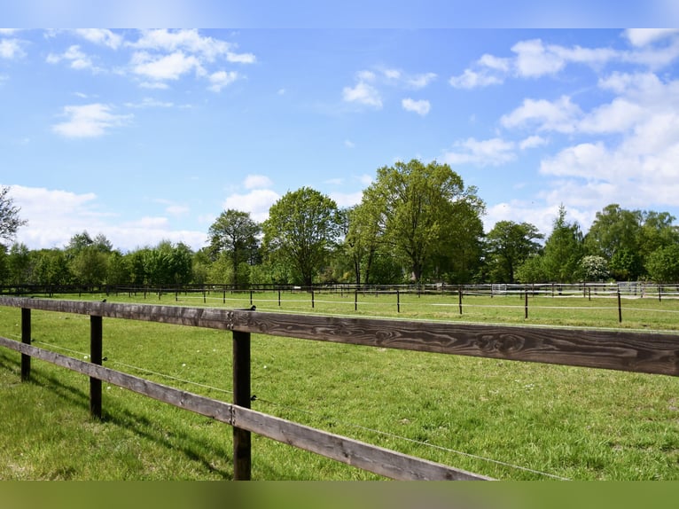 Ekskluzywny kompleks jeździecki do wynajęcia: doskonała lokalizacja i malownicza okolica na łonie na
