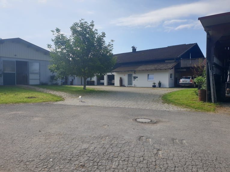 Ekskluzywny kompleks jeździecki z możliwością zamieszkania i generowania dochodu w Allgäu