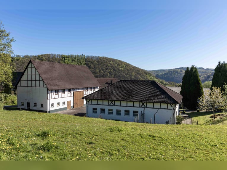 Ekskluzywny ośrodek jeździecki w Sauerlandzie | Dom wiejski, apartamenty wakacyjne, hala ujeżdżeniow