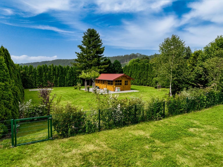 Exklusive Reitanlage mit Mehrfamilienhaus (4 WE) im Allgäu