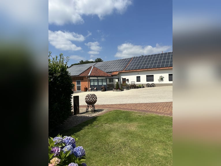 Exklusiver Pferdehof - TOP Ausstattung inkl. Photovoltaikanlage (bisher REHA Zentrum) Niedersachsen Exklusiver Pferdehof - TOP Ausstattung inkl. Photovoltaikanlage (bisher REHA Zentrum) Niedersachsen