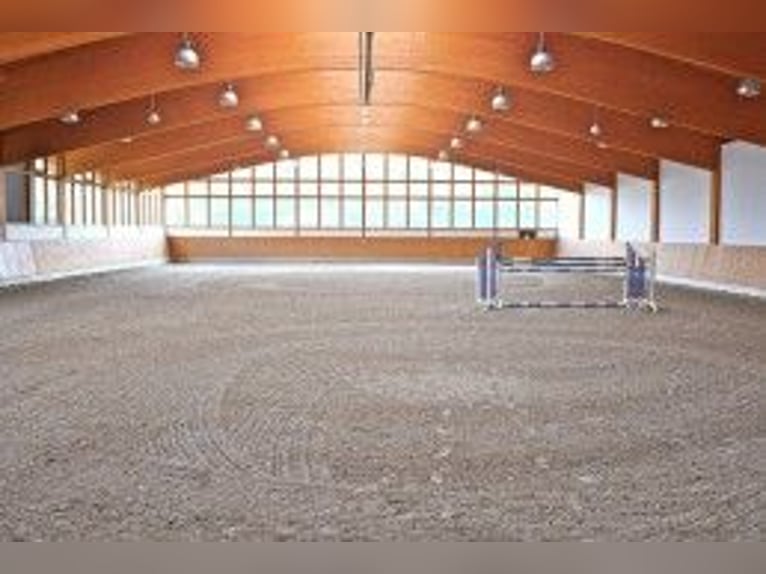 Exklusives Anwesen, Reitanlage mit kleiner Pension im Lahn-Dill-Kreis