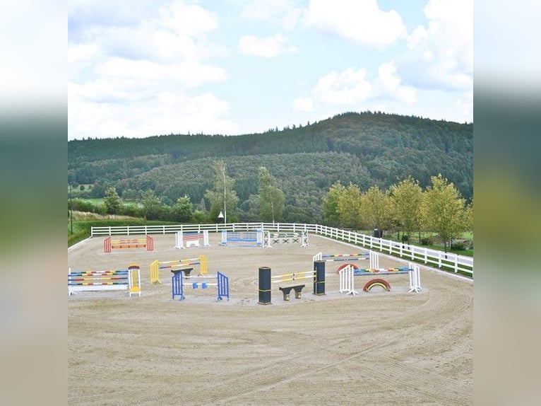 Exklusives Anwesen, Reitanlage mit kleiner Pension im Lahn-Dill-Kreis
