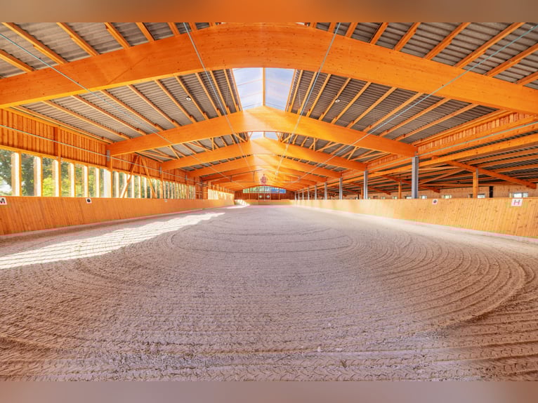 Exklusives Reitsportanwesen nahe Hamburg - 43 Hektar & neue Reithalle!