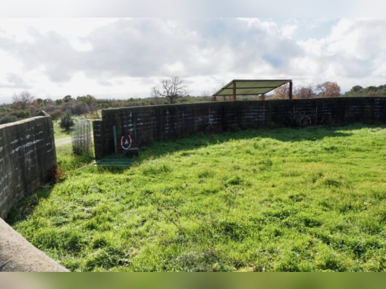 Fantastyczna farma myśliwska i hodowlana.