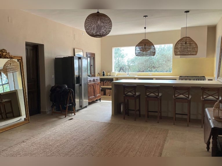 Finca De Ensueño o powierzchni ponad 90 ha w pobliżu Sewilli