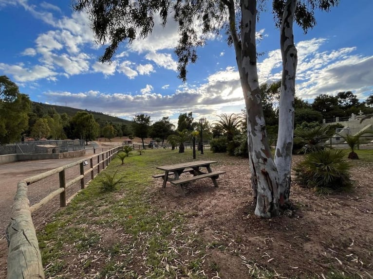 Gospodarstwo do rekreacji i polowań na duże zwierzęta