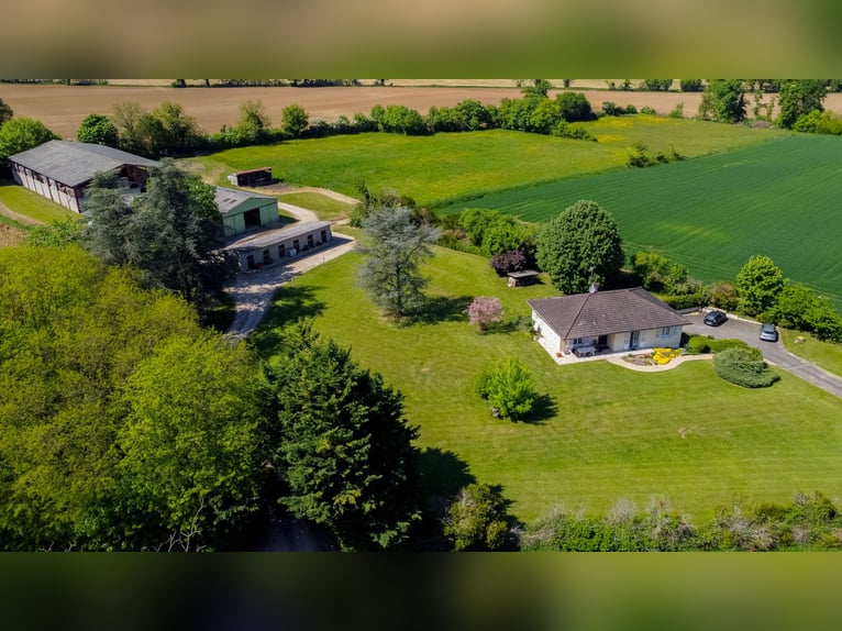 Gospodarstwo jeździeckie pod samymi drzwiami Mâcon