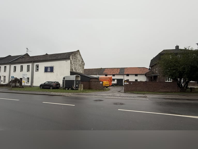 Gospodarstwo rolne z halą ujeżdżeniową, stajniami oraz rozległymi terenami do dzierżawy