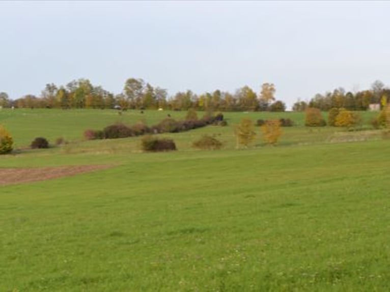 Gospodarstwo rolne z obiektem jeździeckim w malowniczej lokalizacji V14466