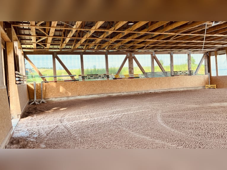Gospodarstwo z krytą ujeżdżalnią, stodołą i działką o powierzchni 45 000 m²