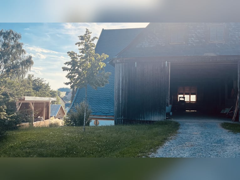 Gospodarstwo z krytą ujeżdżalnią, stodołą i działką o powierzchni 45 000 m²
