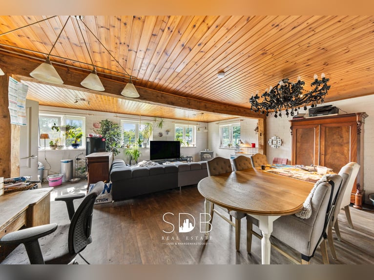 Gospodarstwo z obiektami dla koni i pastwiskami o powierzchni 14 490 m² w Antwerpii | Belgia