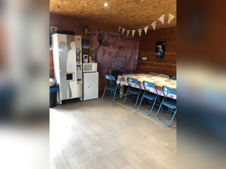 Gotowy do jazdy ośrodek jeździecki!