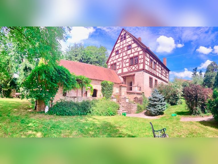 Graf & Gräfin gesucht -Romantik-Traum-Schloss mit arrondierten Ländereien - Pferde- & Event-Location