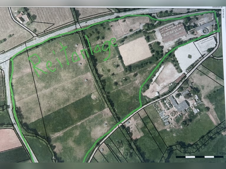 Große Reitanlage zu verkaufen - Rheinland-Pfalz - Nähe Kaiserslautern 
