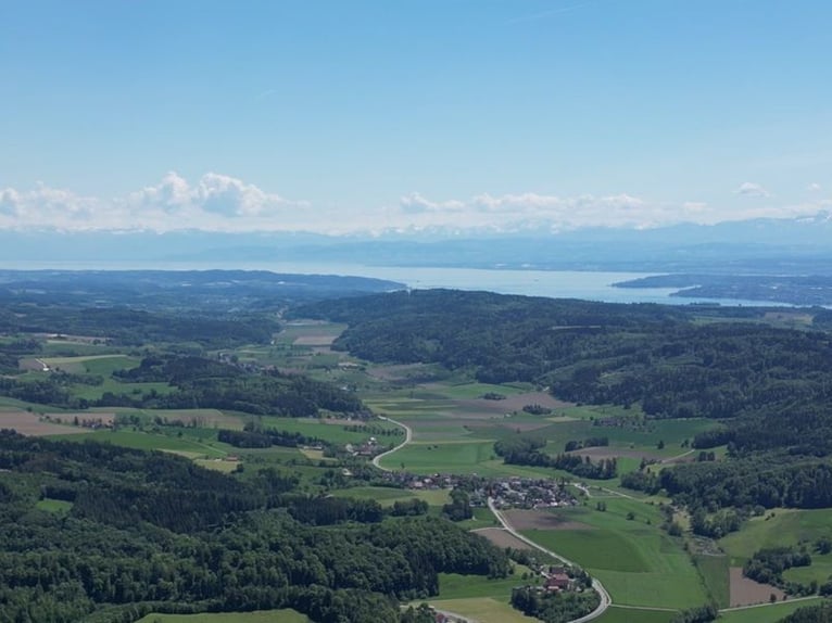 Gutshofsambiete ergänzt durch moderne Reitanlage auf 20 ha nahe Bodensee V12802 Gutshofsambiete ergänzt durch moderne Reitanlage auf 20 ha nahe Bodensee V12802