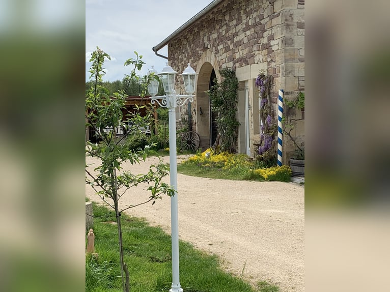 Historischer paradiesischer Pferdehof 40 Min. von der Schweiz 