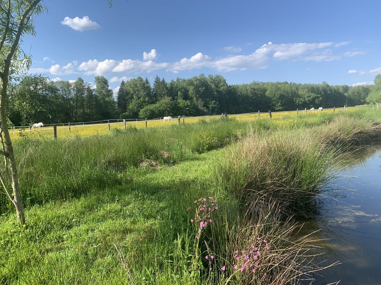 Historischer paradiesischer Pferdehof 40 Min. von der Schweiz 