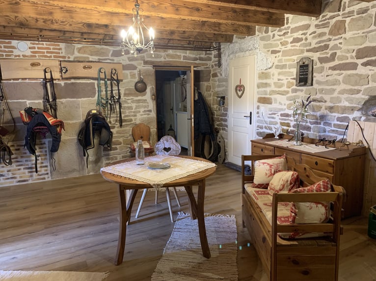 Historischer paradiesischer Pferdehof 40 Min. von der Schweiz 