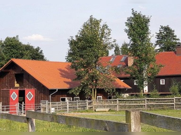 Historisches, autarkes Landgut in der Euroregion Niederschlesien – Polen zu verkaufen!