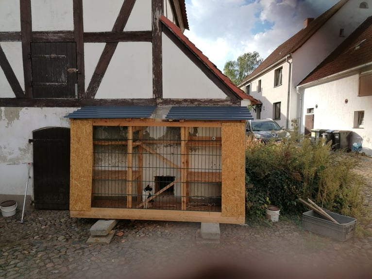 Historyczny czterokondygnacyjny dwór z pałacem i potencjałem na hodowlę koni