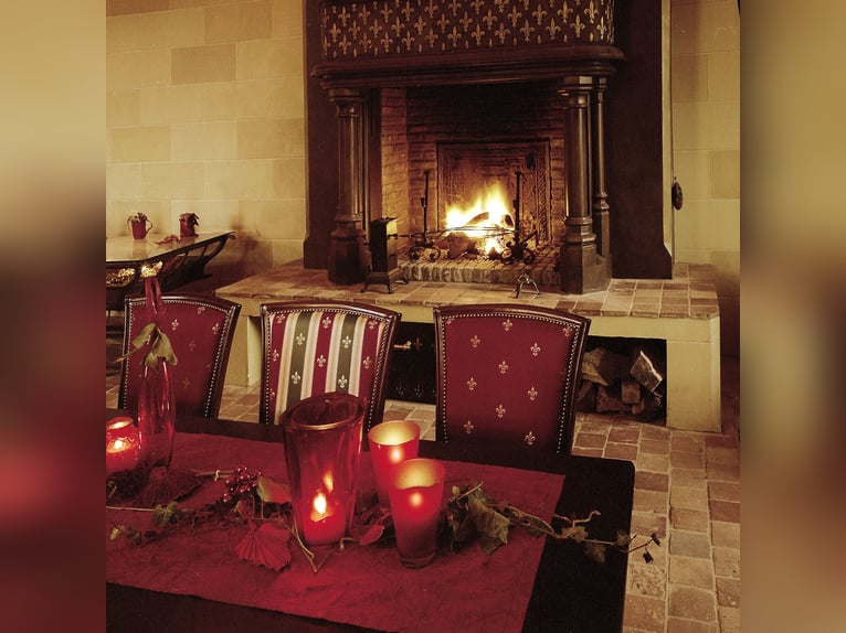 Historyczny dwór z rozległym parkiem i własnym jeziorem – idealny dla miłośników natury i zwierząt!