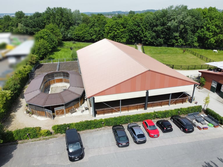 Hochwertige Reitanlage in Aachen