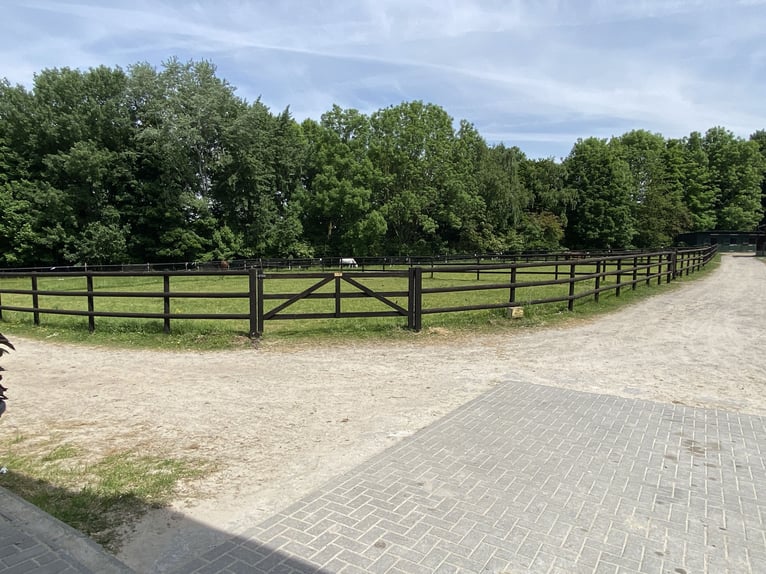 Hochwertige Reitanlage in Aachen