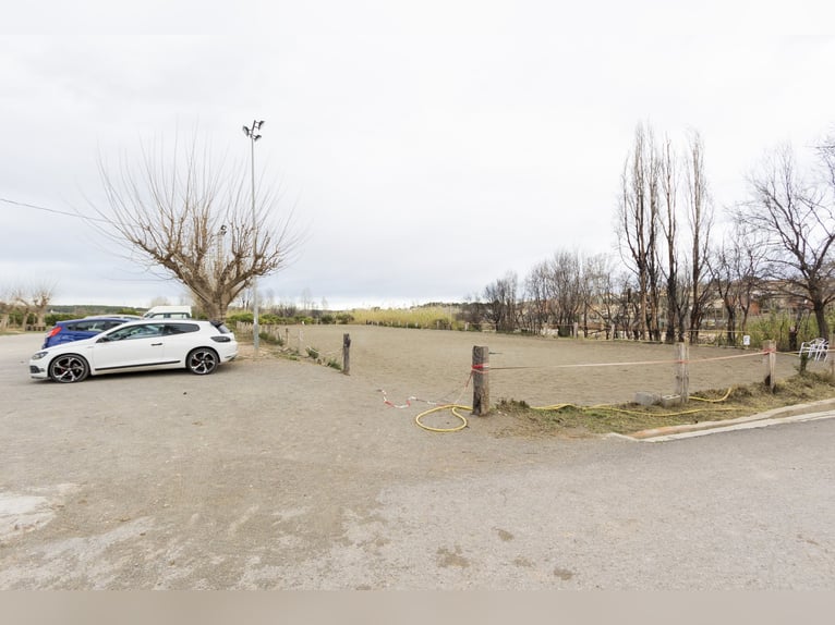 Hodowla koni i dom na sprzedaż w pobliżu Walencji