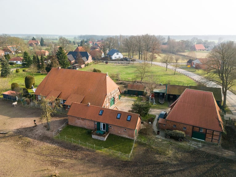 Hojny kompleks z możliwością hodowli koni, apartamentem na wynajem, działkami budowlanymi oraz różno