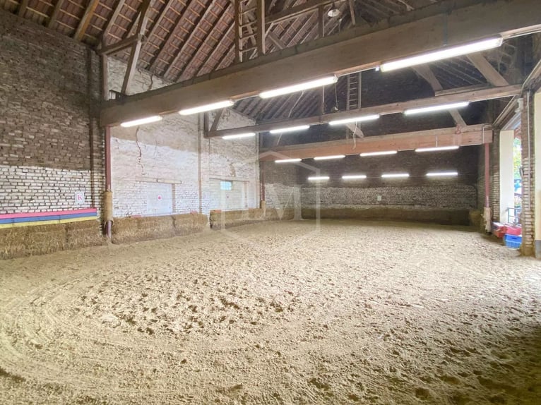 Idyllisch gelegene Reitanlage in Mönchengladbach