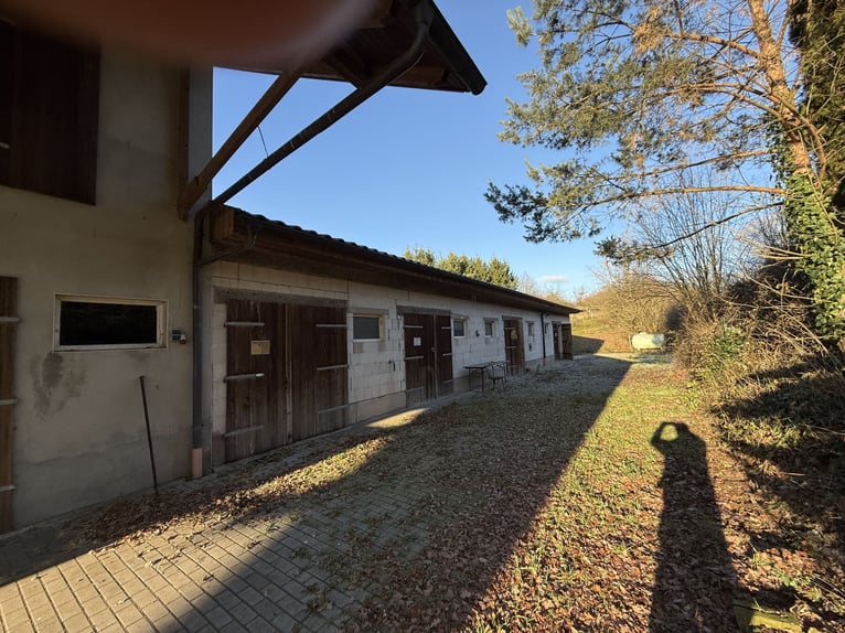 Idyllisches Landanwesen mit Wohnhaus und Stallungen in Unterfranken