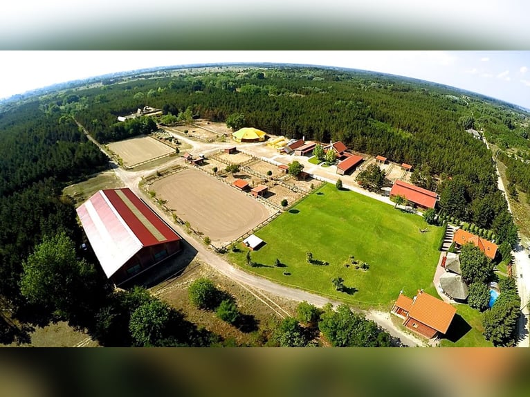  Ihr Anteil am Paradies – El Bronco Ranch, Ungarn 